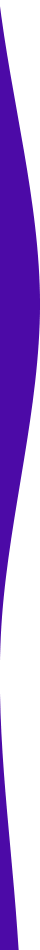 https://homeb.es/wp-content/uploads/2021/03/purple-detail-left.png